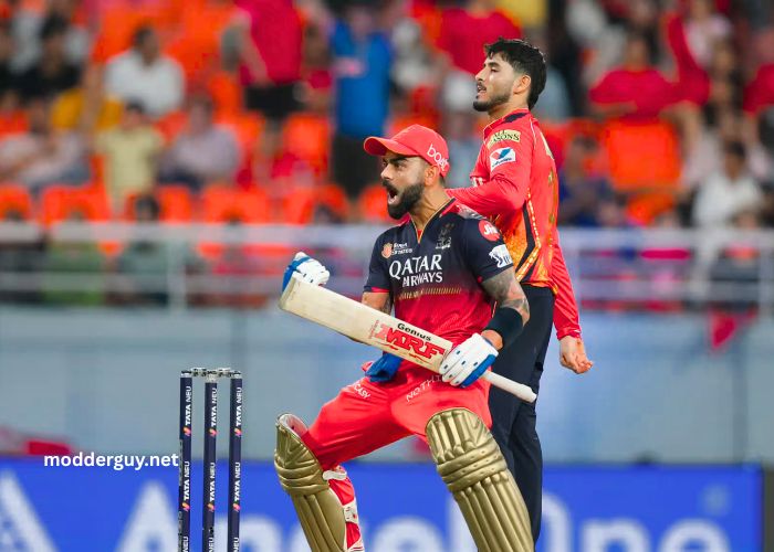 Punjab Kings vs Royal Challengers Bengaluru Scorecard & H2H, Qualifier 1 Match – IPL 2025 PBKS vs RCB Cricket Scorecard & H2H, Qualifier 1 Match – IPL 2025